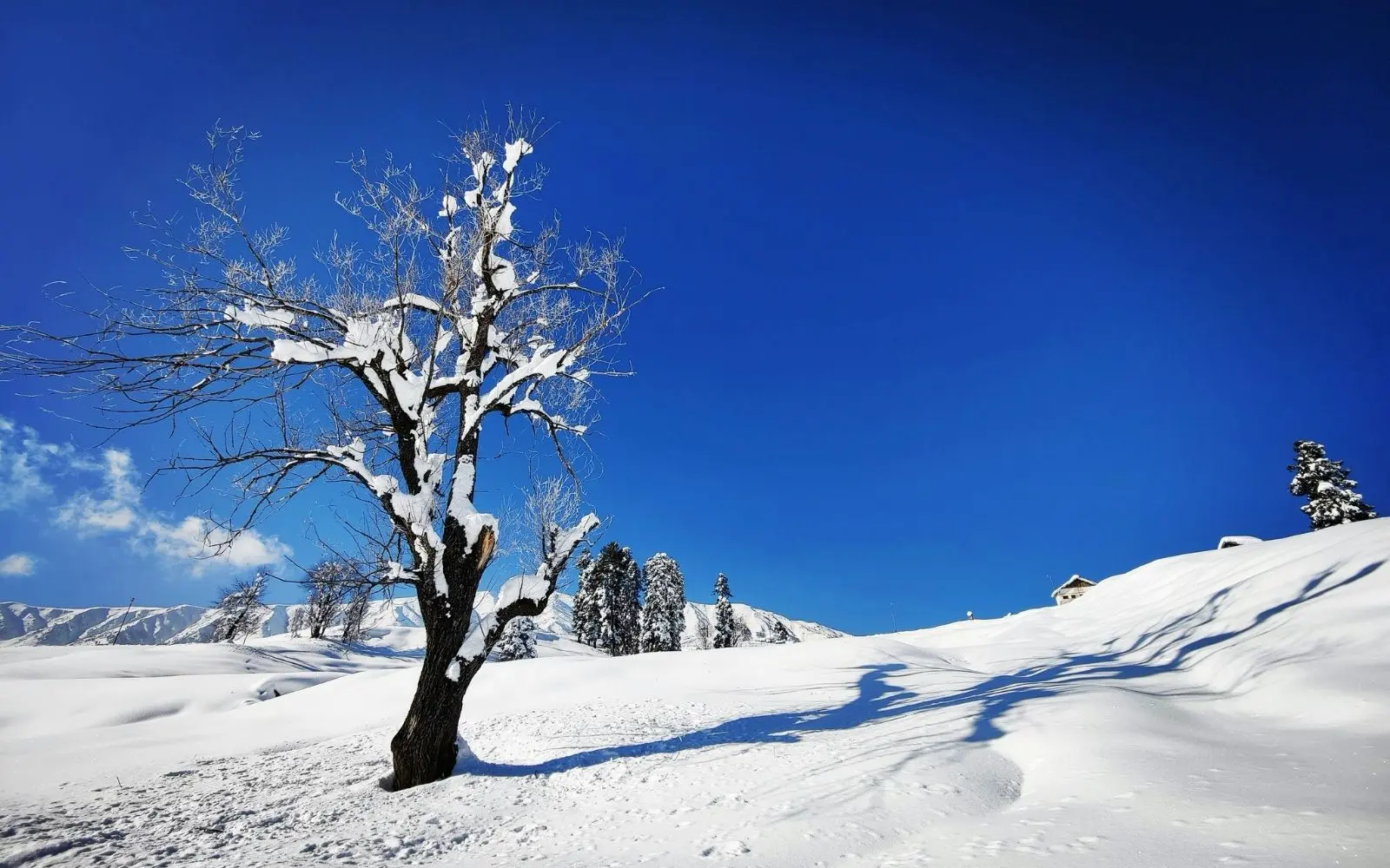 Gulmarg travel destination in Kashmir with private tour and transport support