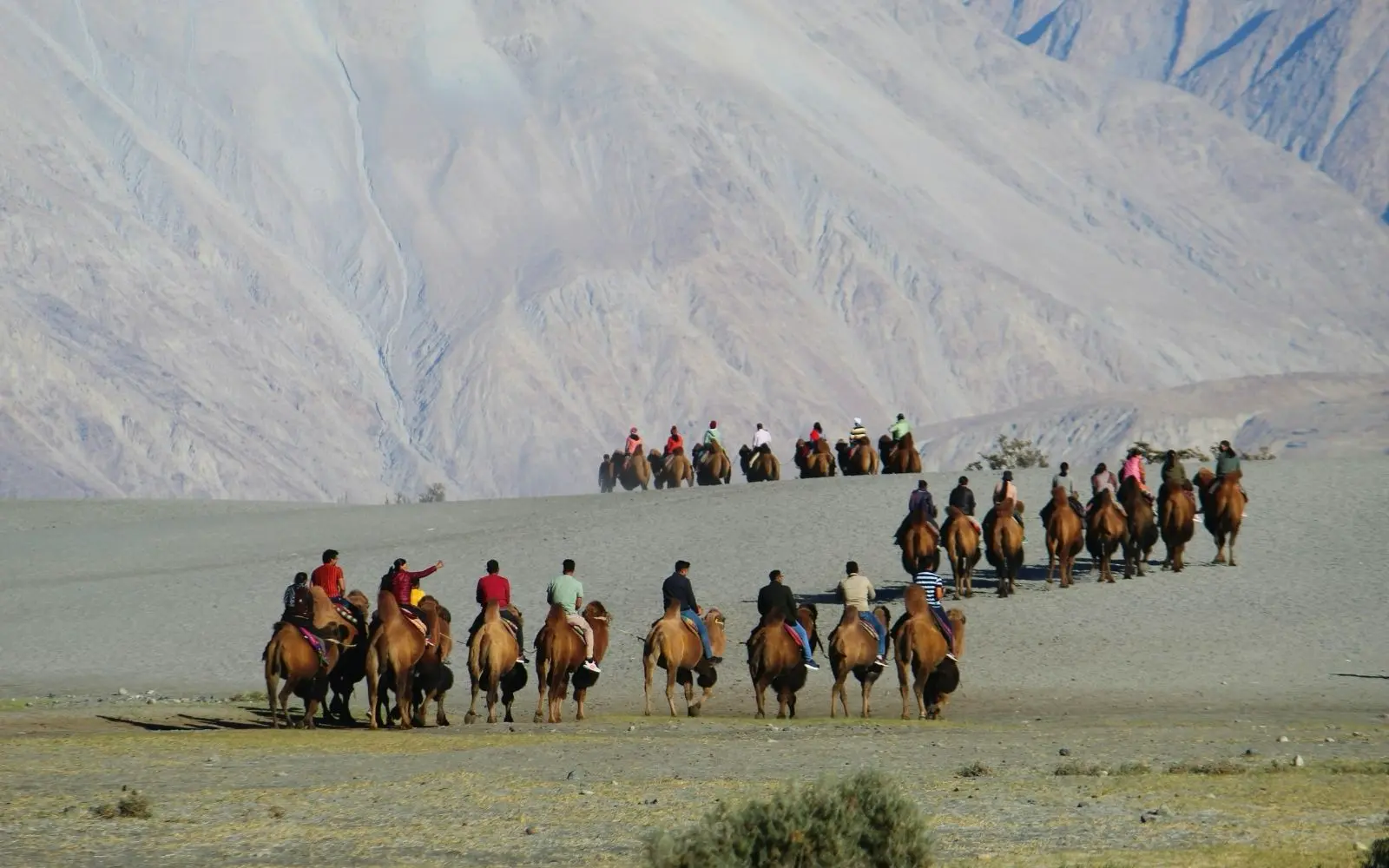 Nubra Valley travel destination in Ladakh with private tour and transport support