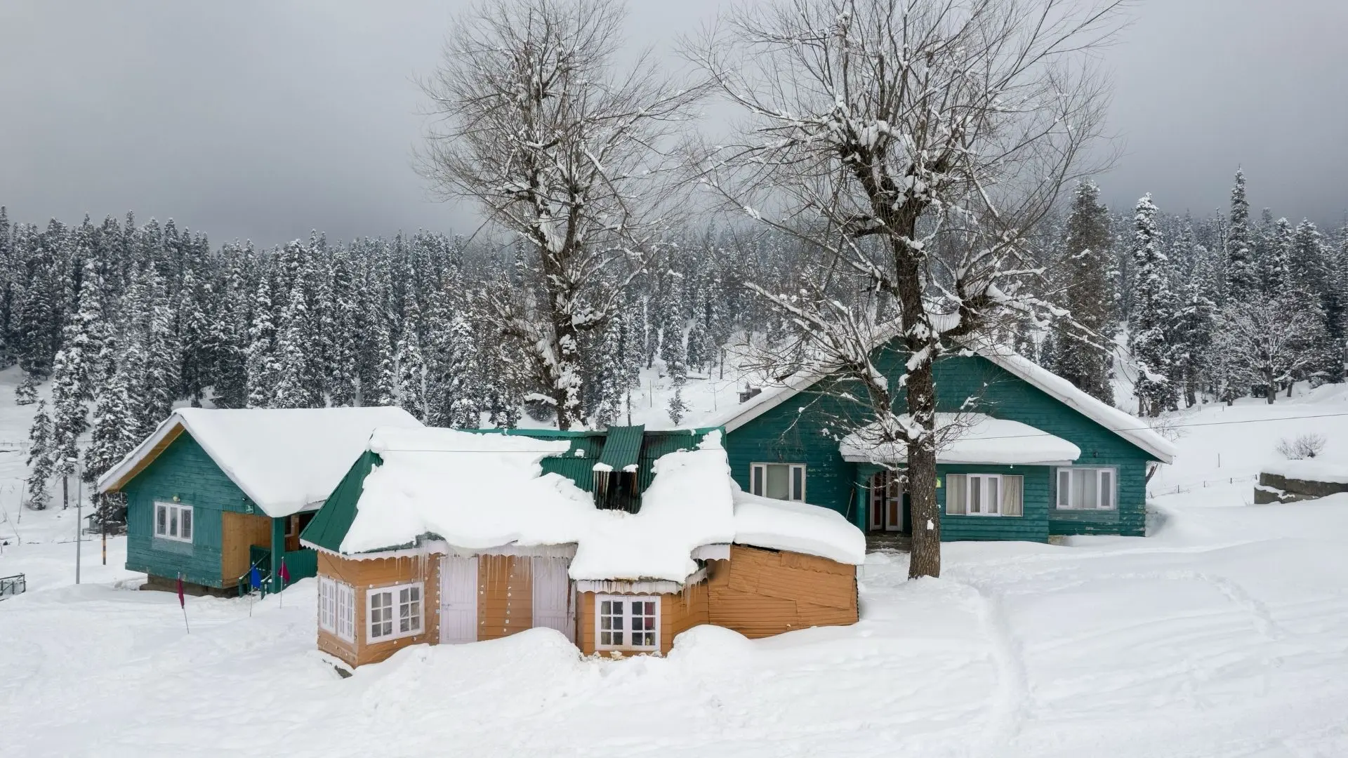 Gulmarg travel destination in Kashmir with private tour and transport support