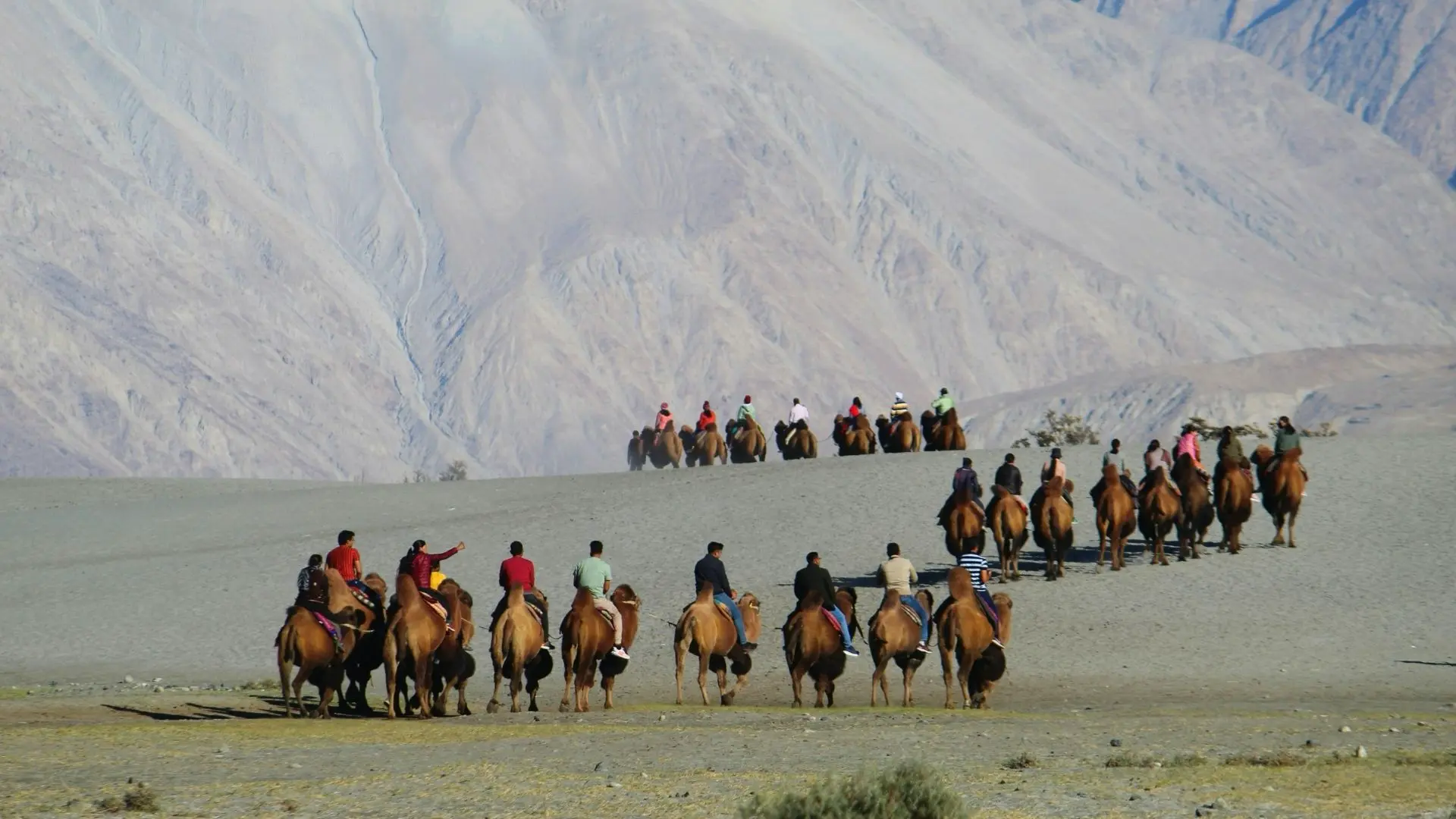 Nubra Valley travel destination in Ladakh with private tour and transport support