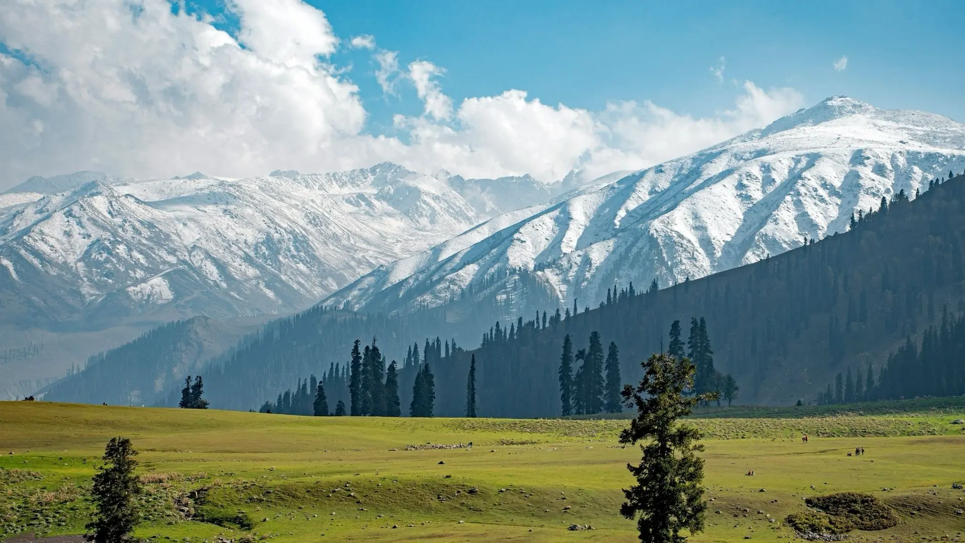 Sonamarg travel destination in Kashmir with private tour and transport support