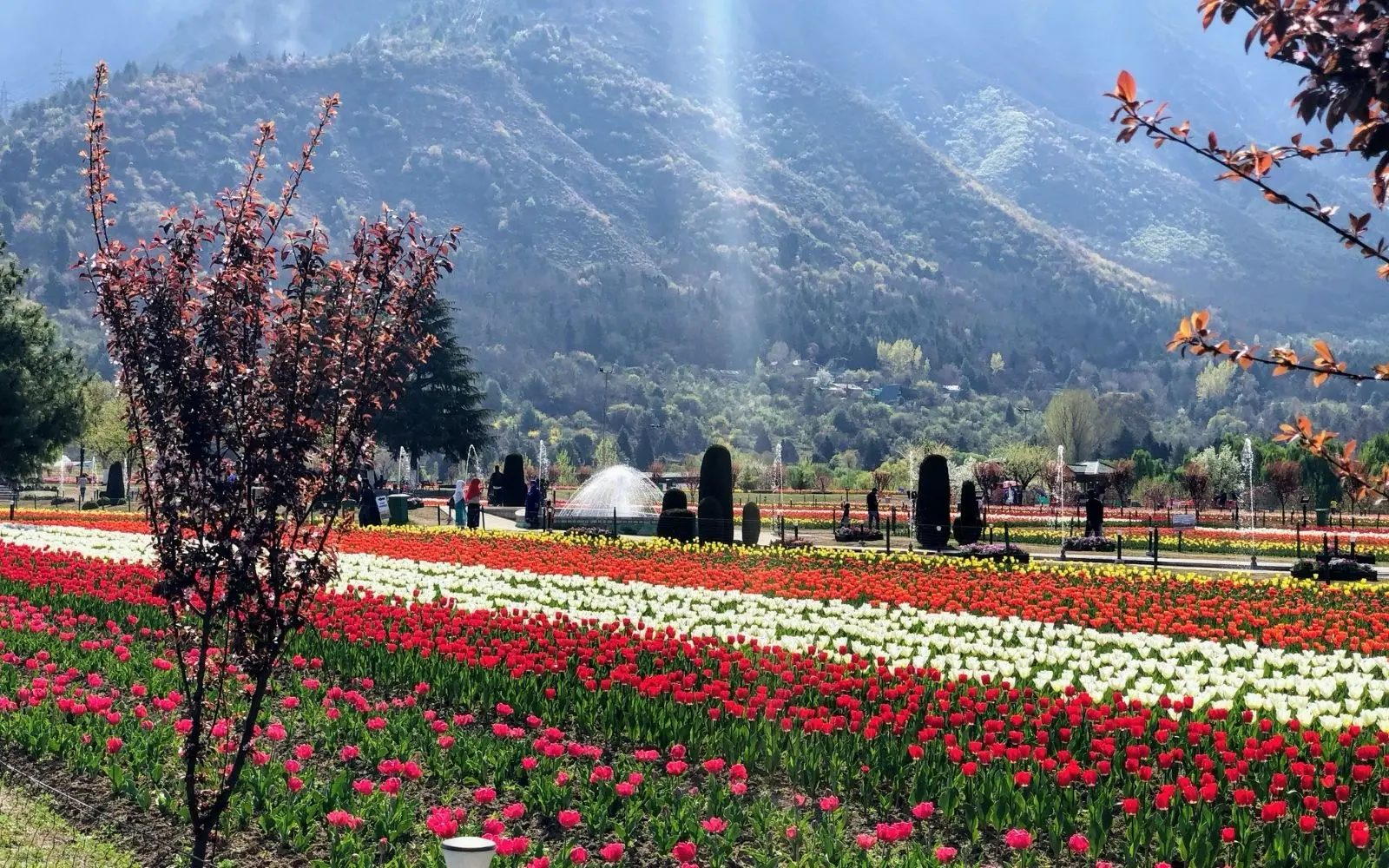 Short Srinagar Escape covering Srinagar with private car and transport planning in India