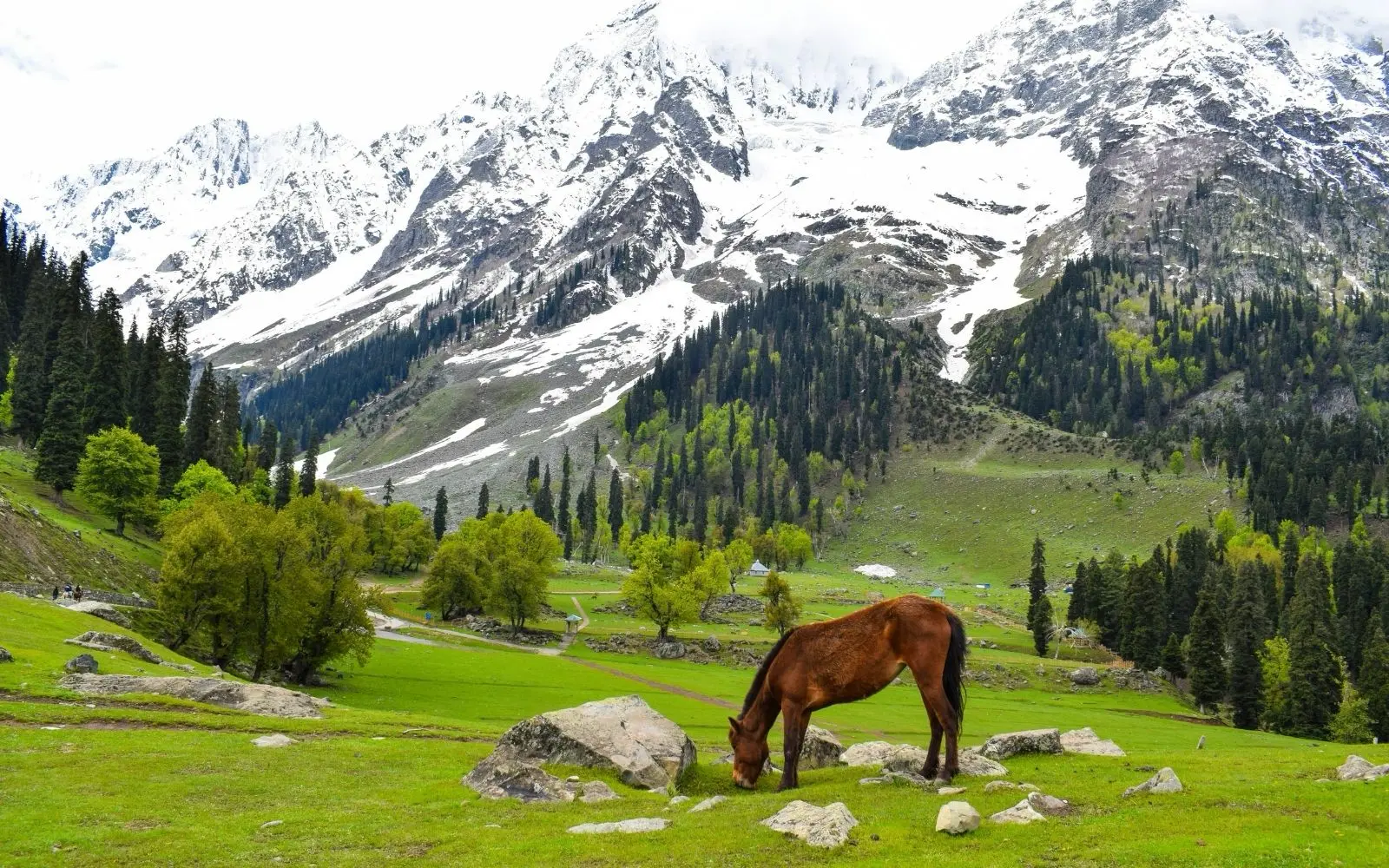 Kashmir Family Valley Holiday covering Srinagar · Gulmarg · Pahalgam · Sonamarg with private car and transport planning in India