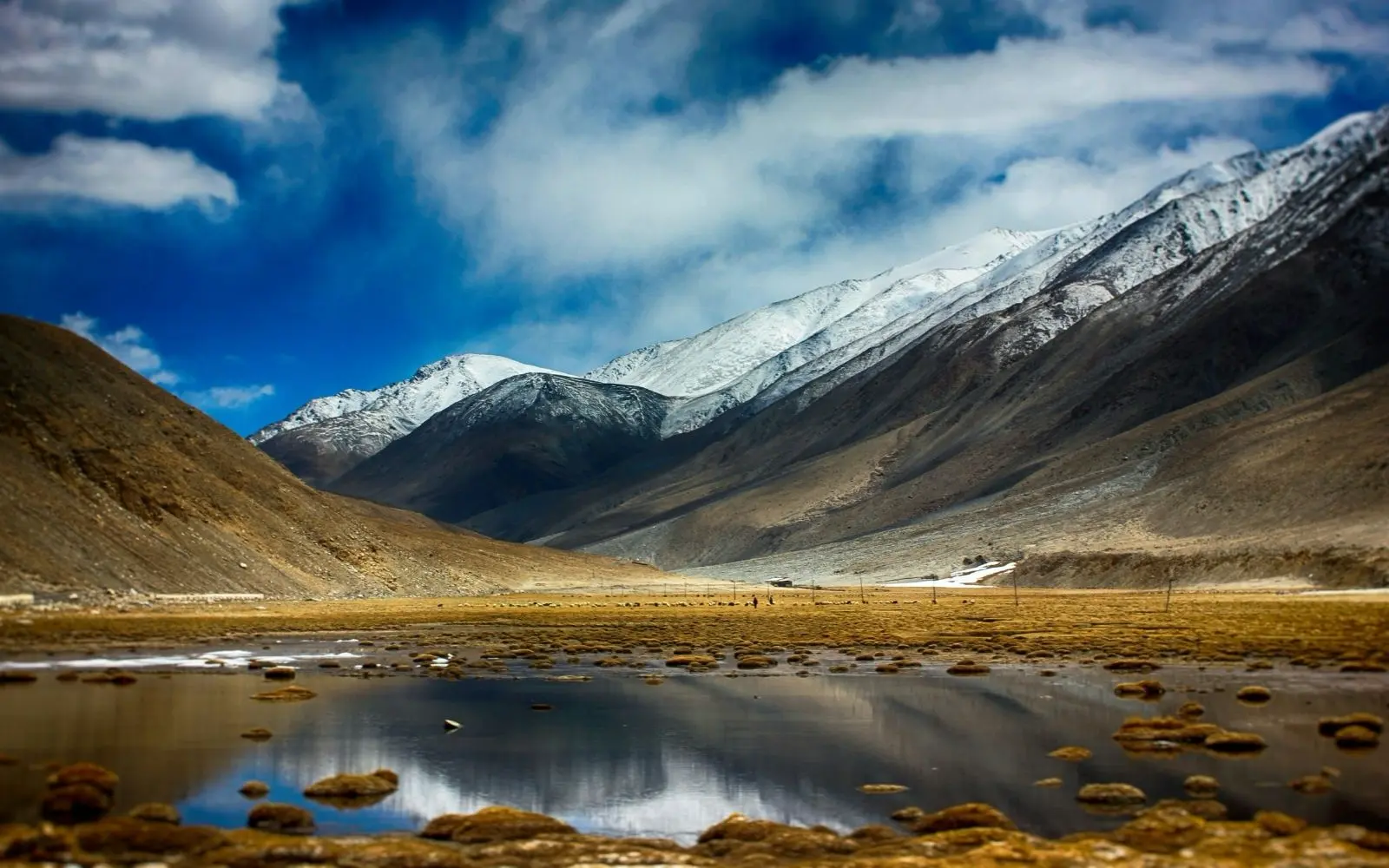 Turtuk, Nubra & Pangong Ladakh Journey covering Leh · Sham Valley · Nubra Valley · Turtuk · Pangong Lake with private car and transport planning in India