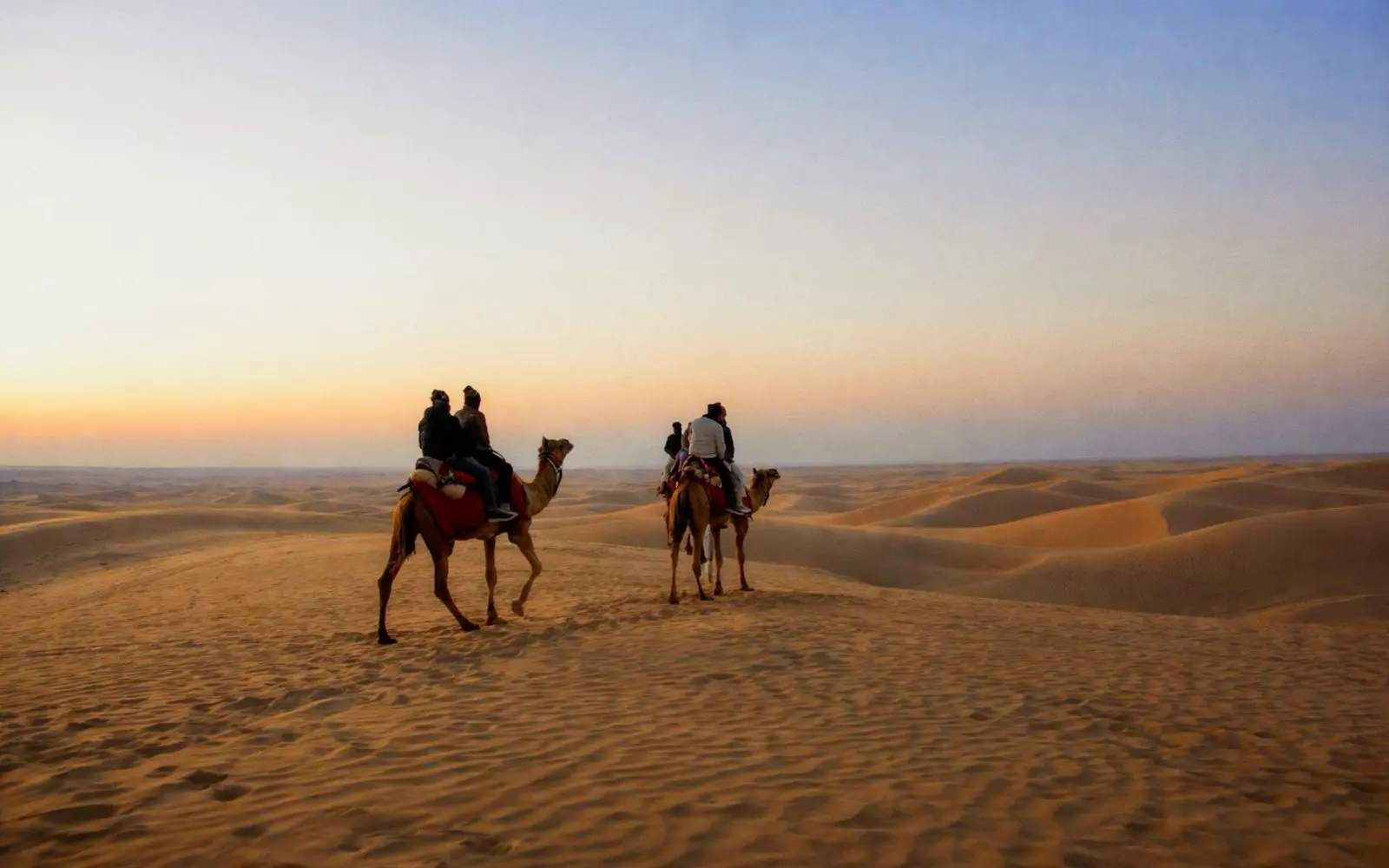 Rajasthan Desert Forts Journey – 8 Days covering Jaipur · Jodhpur · Jaisalmer with private car and transport planning in India