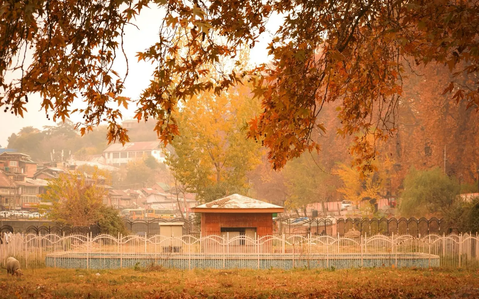 Kashmir Chinar Season Tour covering Srinagar · Gulmarg · Pahalgam · Sonamarg with private car and transport planning in India