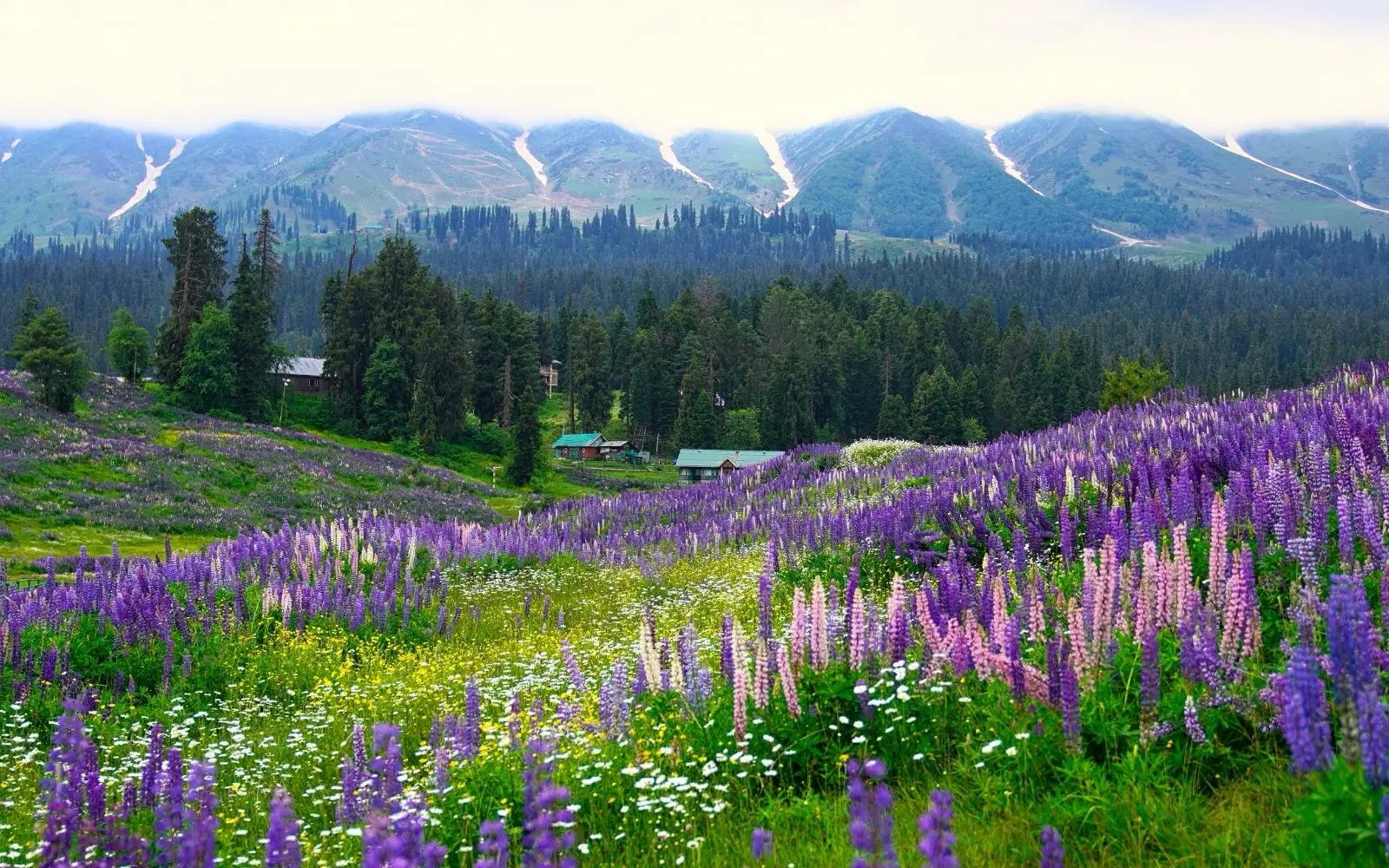 Delhi to Kashmir Honeymoon Plan covering Delhi · Srinagar · Gulmarg · Pahalgam · Sonamarg with private car and transport planning in India