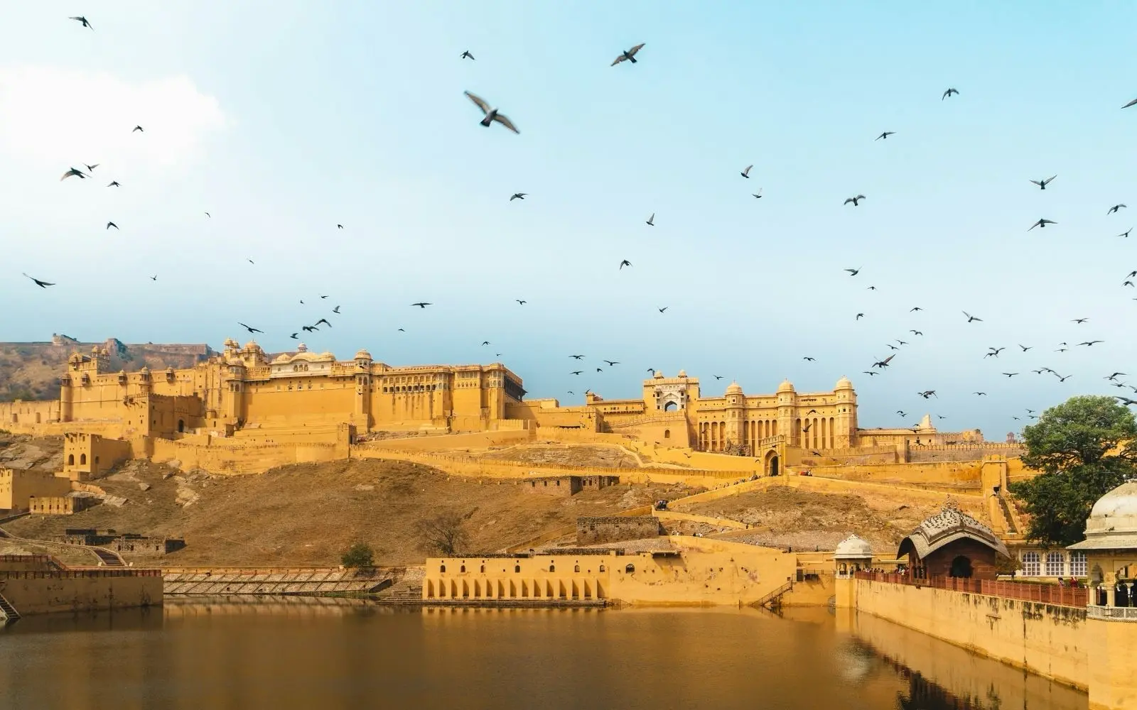 Private Jaipur Highlights Tour covering Jaipur with private car and transport planning in India