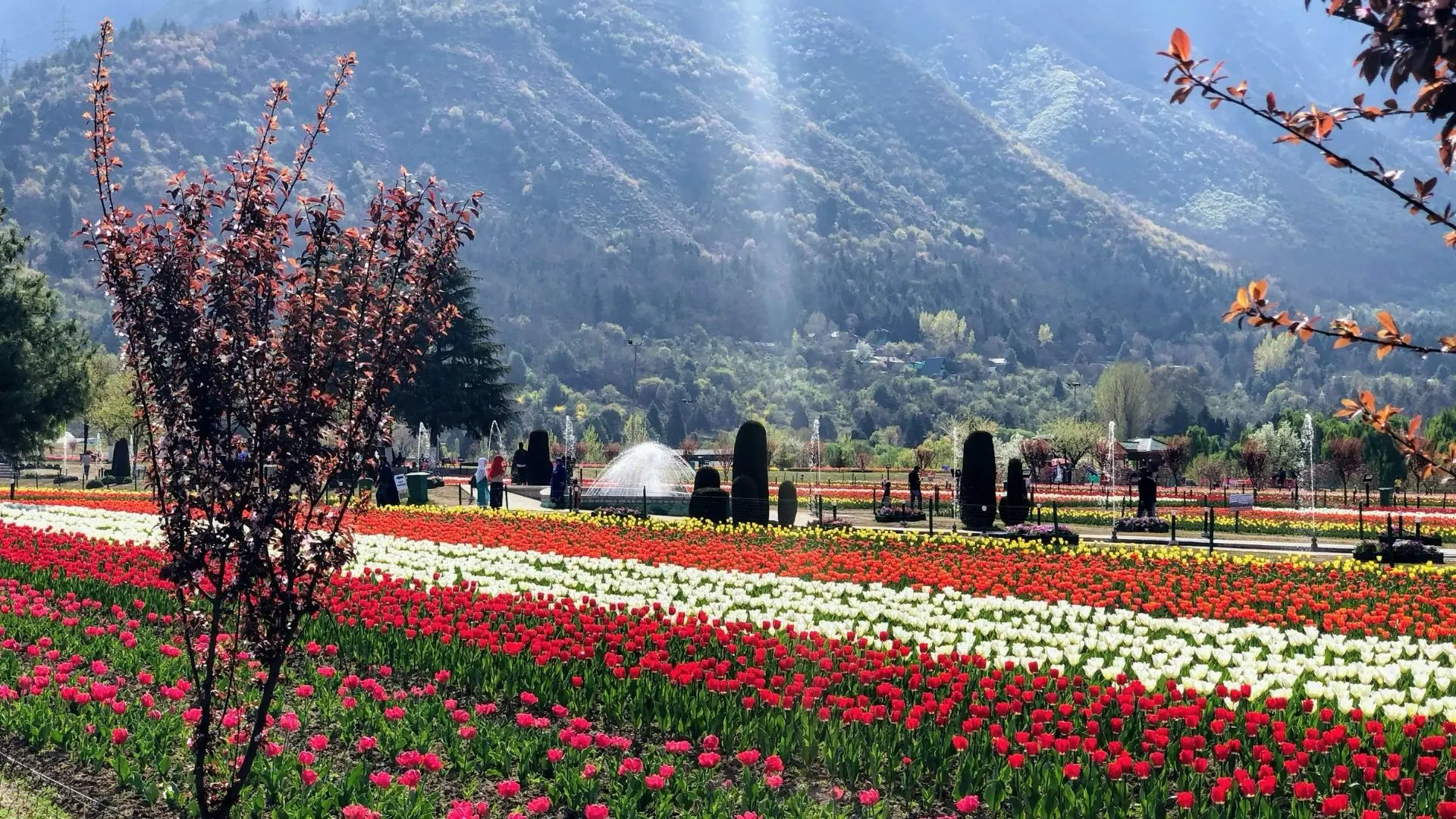 Short Srinagar Escape covering Srinagar with route planning and transport support in Kashmir