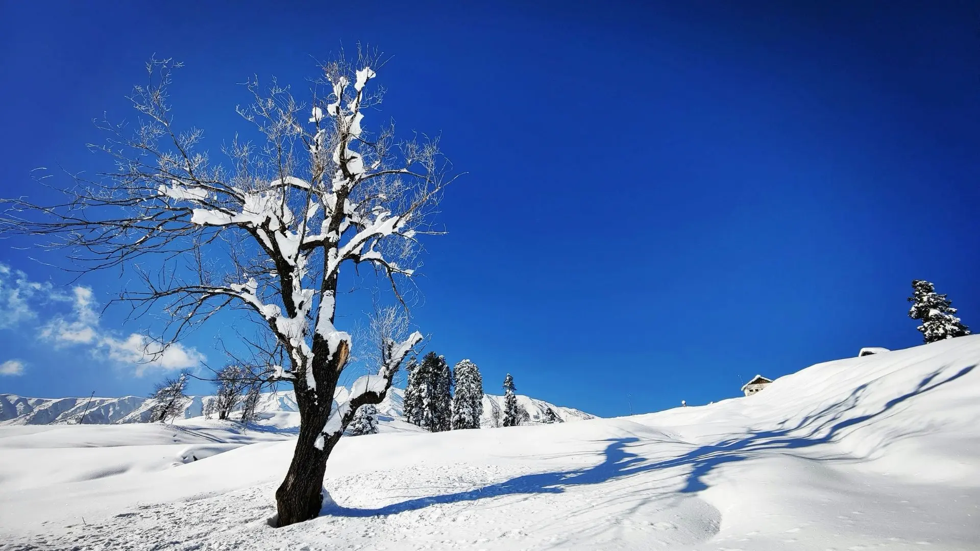 Kashmir Valley Short Break covering Srinagar · Pahalgam · Gulmarg with route planning and transport support in Kashmir