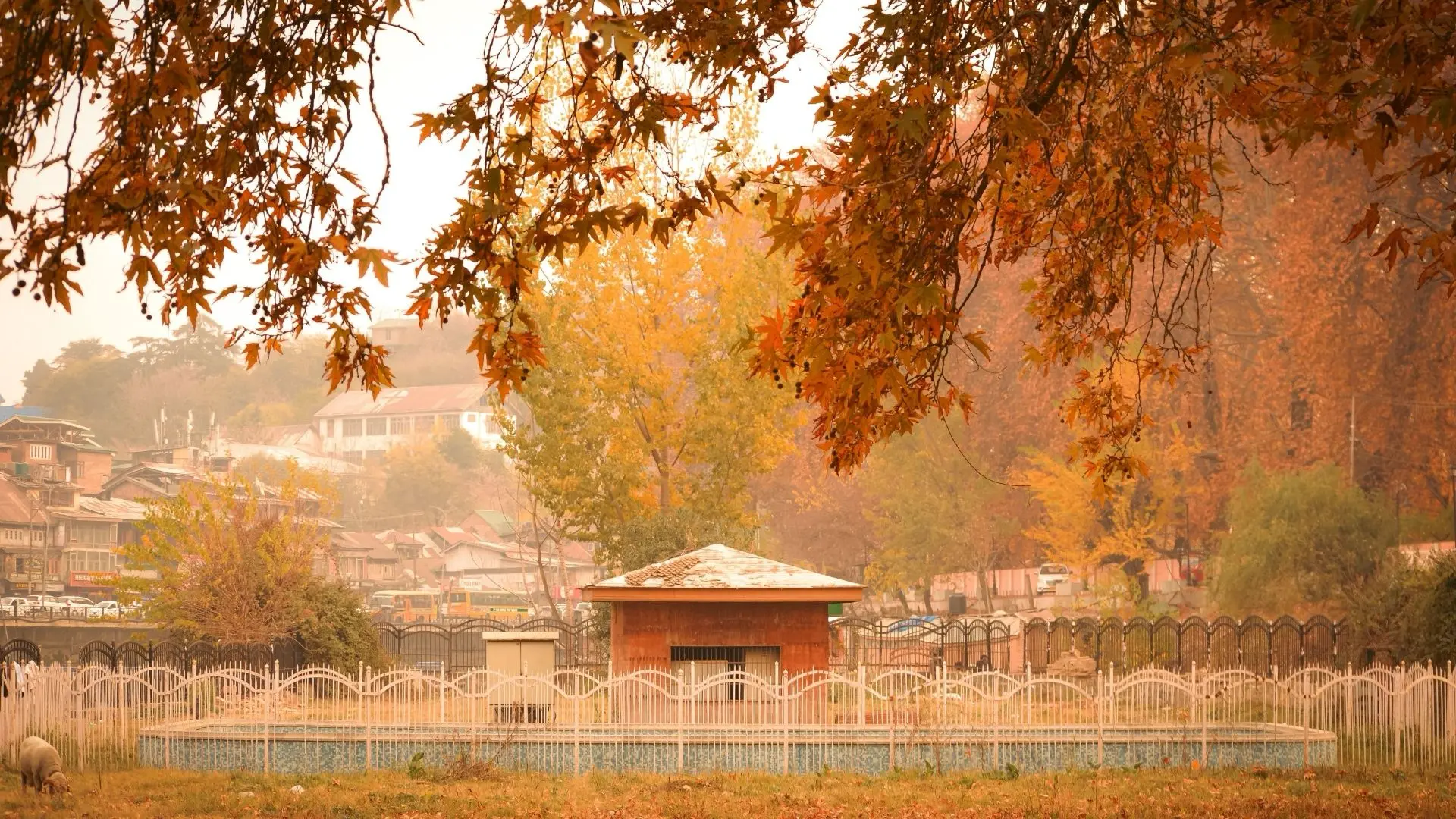 Kashmir Chinar Season Tour covering Srinagar · Gulmarg · Pahalgam · Sonamarg with route planning and transport support in Kashmir