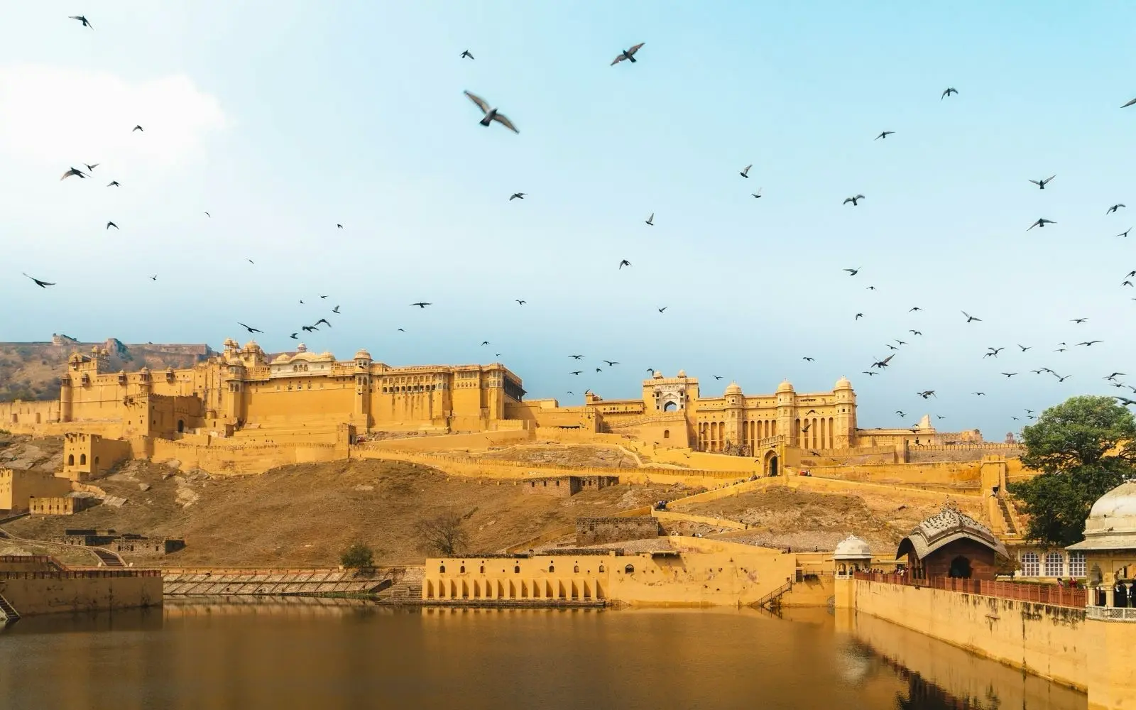 Rajasthan Tours for private and group travel in India
